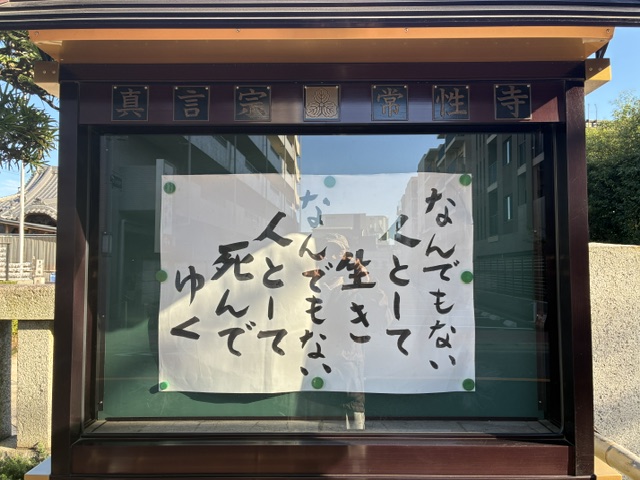 令和8年10月23日